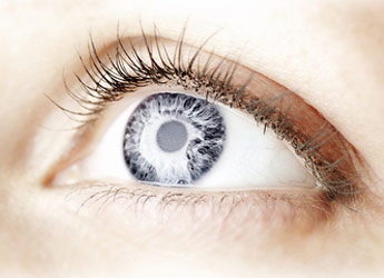 Primera Consulta Alergología + Test Provocación Ocular en Cenvi Al.lergología